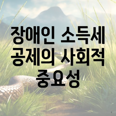 장애인 소득세 공제의 사회적 중요성