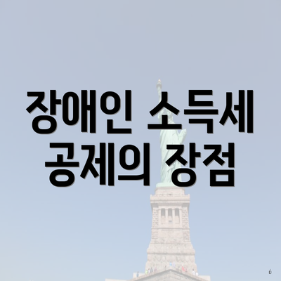 장애인 소득세 공제의 장점