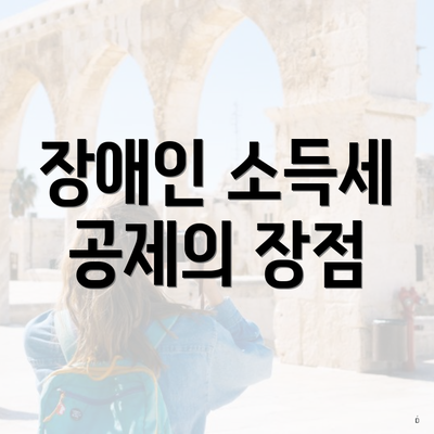 장애인 소득세 공제의 장점