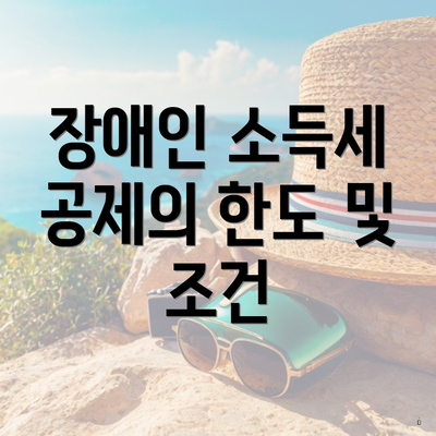 장애인 소득세 공제의 한도 및 조건