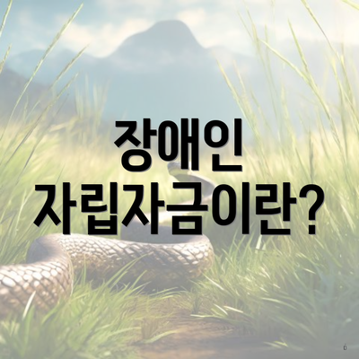 장애인 자립자금이란?