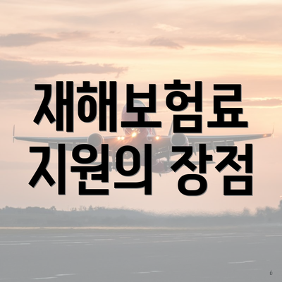 재해보험료 지원의 장점