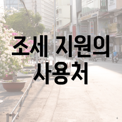 조세 지원의 사용처