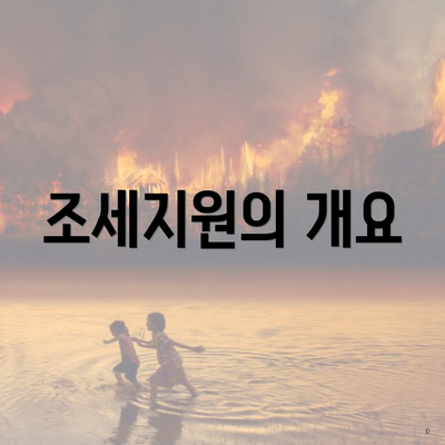 조세지원의 개요