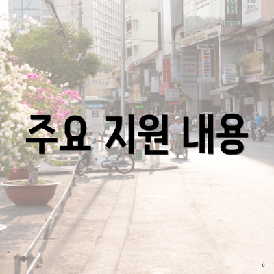 주요 지원 내용