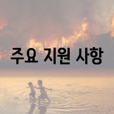 주요 지원 사항