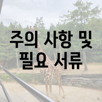 주의 사항 및 필요 서류