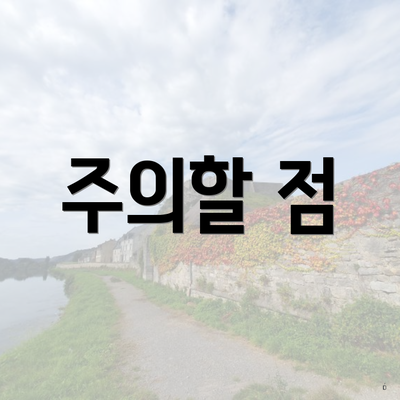 주의할 점