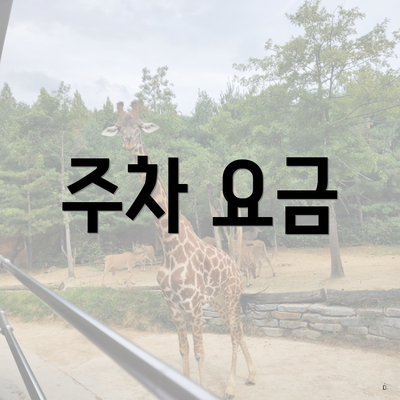 주차 요금