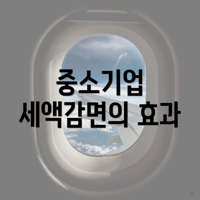 중소기업 세액감면의 효과