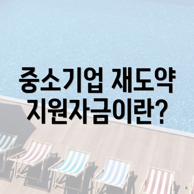 중소기업 재도약지원자금이란?