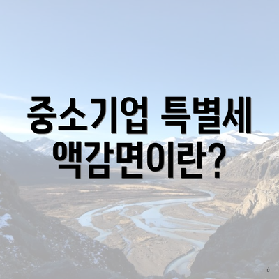 중소기업 특별세액감면이란?