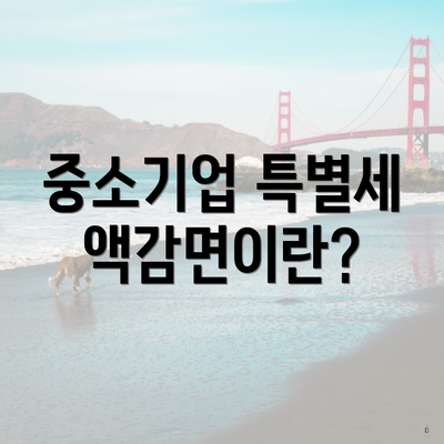 중소기업 특별세액감면이란?