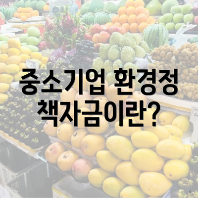 중소기업 환경정책자금이란?