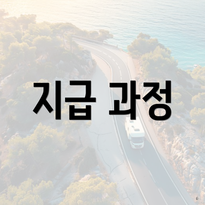 지급 과정