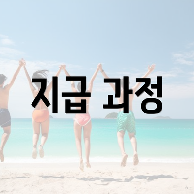 지급 과정