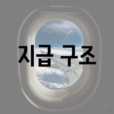 지급 구조