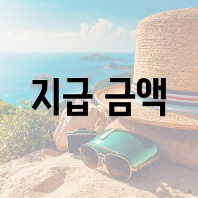 지급 금액