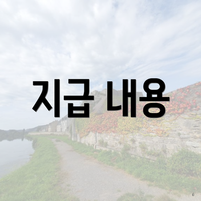 지급 내용