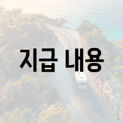 지급 내용