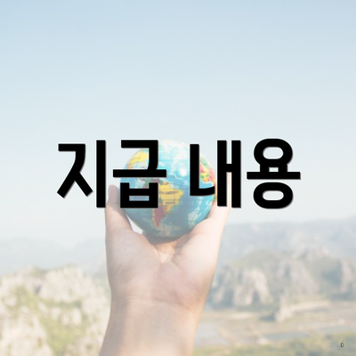 지급 내용
