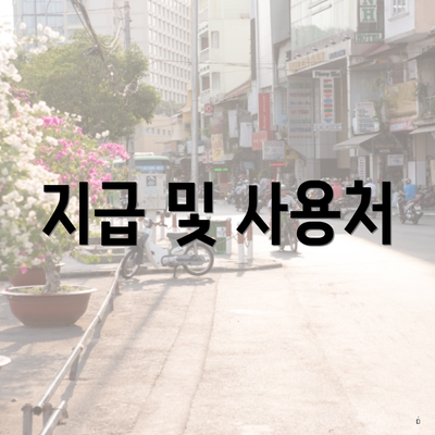지급 및 사용처