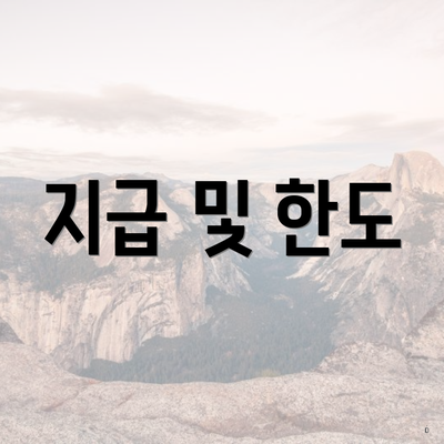 지급 및 한도