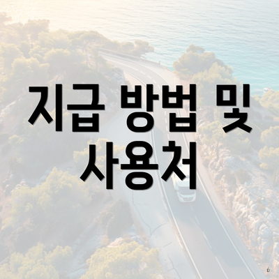 지급 방법 및 사용처