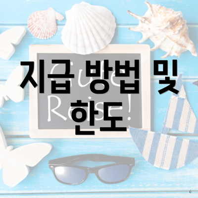 지급 방법 및 한도