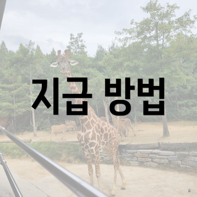 지급 방법