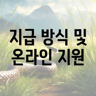 지급 방식 및 온라인 지원
