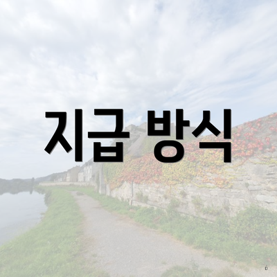 지급 방식