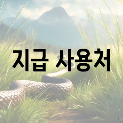 지급 사용처