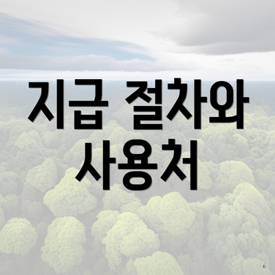 지급 절차와 사용처