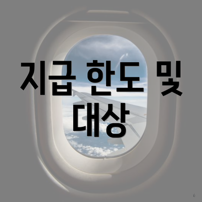 지급 한도 및 대상