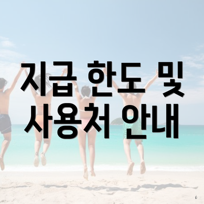 지급 한도 및 사용처 안내