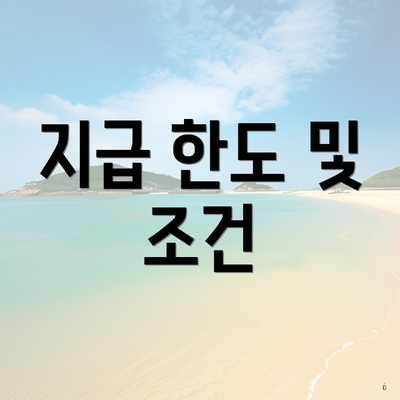 지급 한도 및 조건
