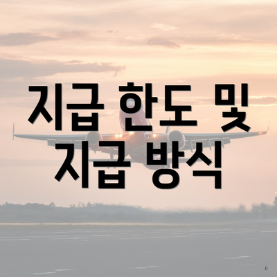 지급 한도 및 지급 방식