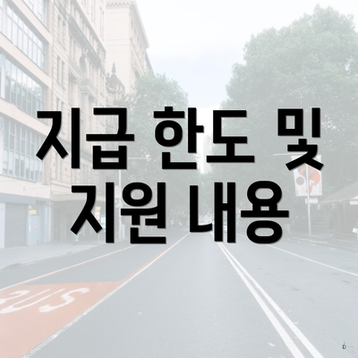 지급 한도 및 지원 내용