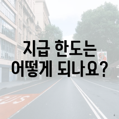 지급 한도는 어떻게 되나요?