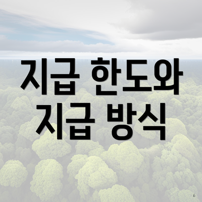 지급 한도와 지급 방식