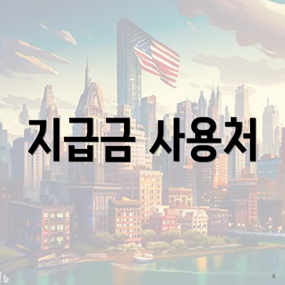 지급금 사용처