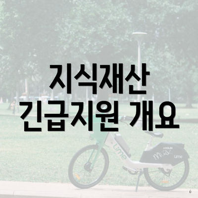 지식재산 긴급지원 개요