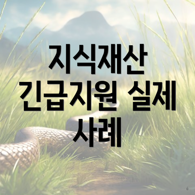 지식재산 긴급지원 실제 사례