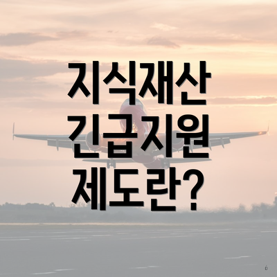지식재산 긴급지원 제도란?