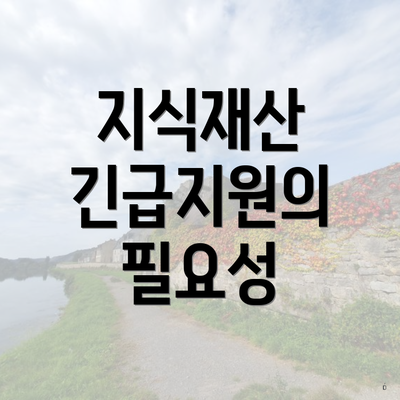 지식재산 긴급지원의 필요성