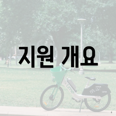 지원 개요