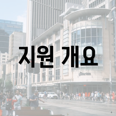 지원 개요
