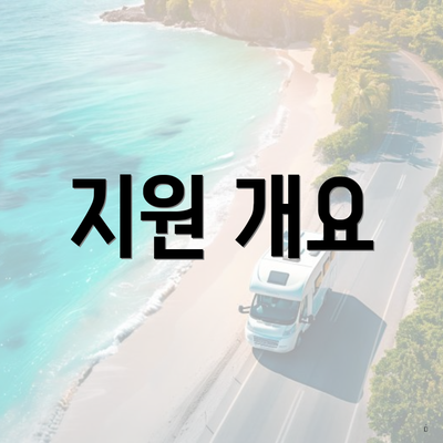 지원 개요