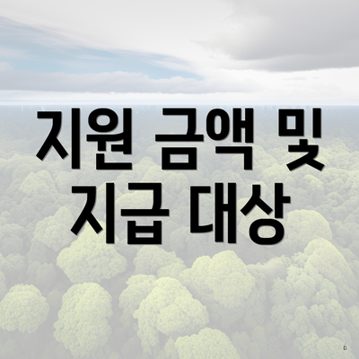 지원 금액 및 지급 대상